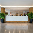 Modern hotel reception with natural decor and soft lighting
