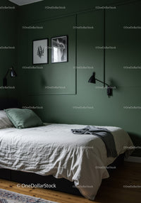 Green Wall Bedroom with Minimalist Decor and Cozy Bed
