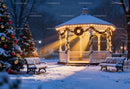 Snow-covered park gazebo decorated with Christmas lights