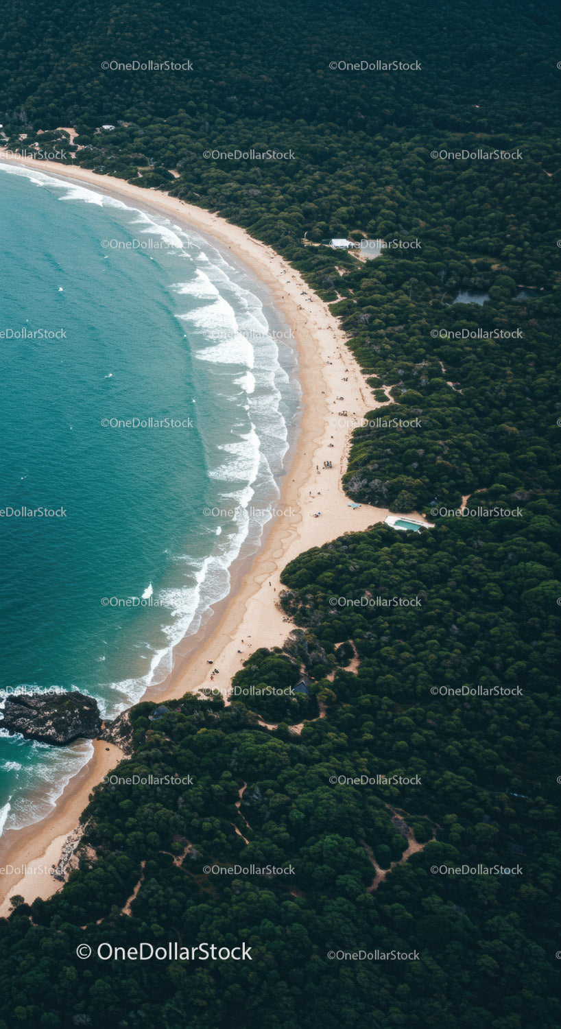 Spokojna tropikalna plaża z gęstym zielonym lasem i falami oceanu