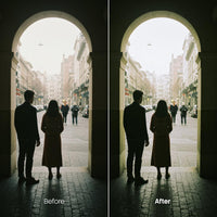 Film Look 20 LUTs digital asset preview