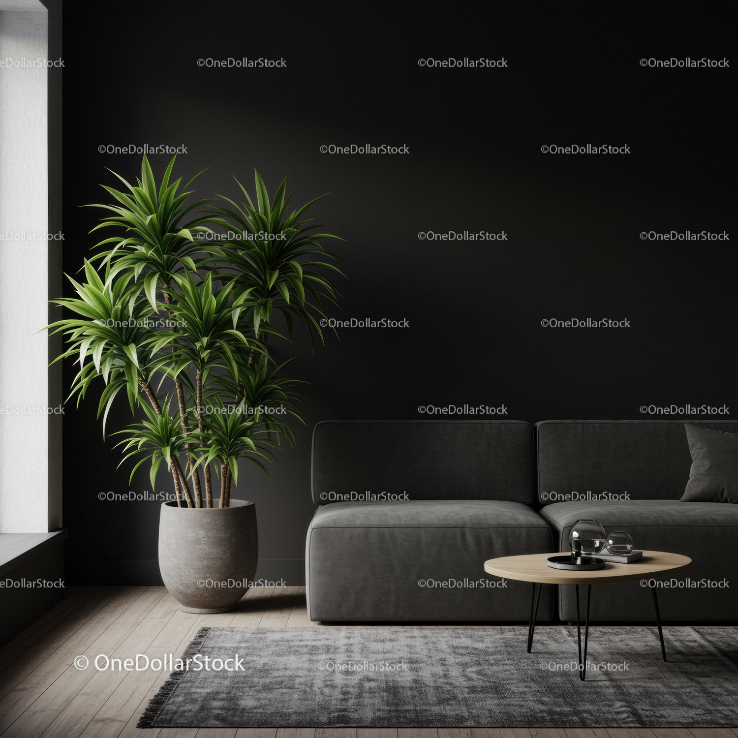 Nowoczesny salon z rośliną doniczkową i szarą sofą na czarnej ścianie