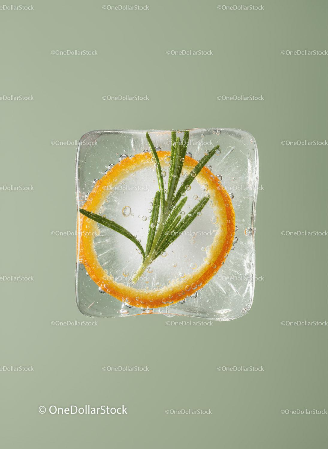 Ice cube with orange slice and rosemary herb