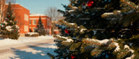 Snowy pine tree decorated with red Christmas baubles outdoors