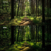Forest Glow Dark XMP presets color grading preview