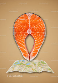Fresh salmon steak placed on folded city map