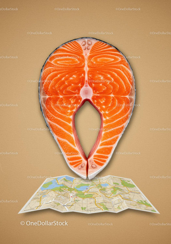 Fresh salmon steak placed on folded city map
