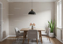 Bright Minimalist Dining Room with Green Indoor Plant and Natural Light