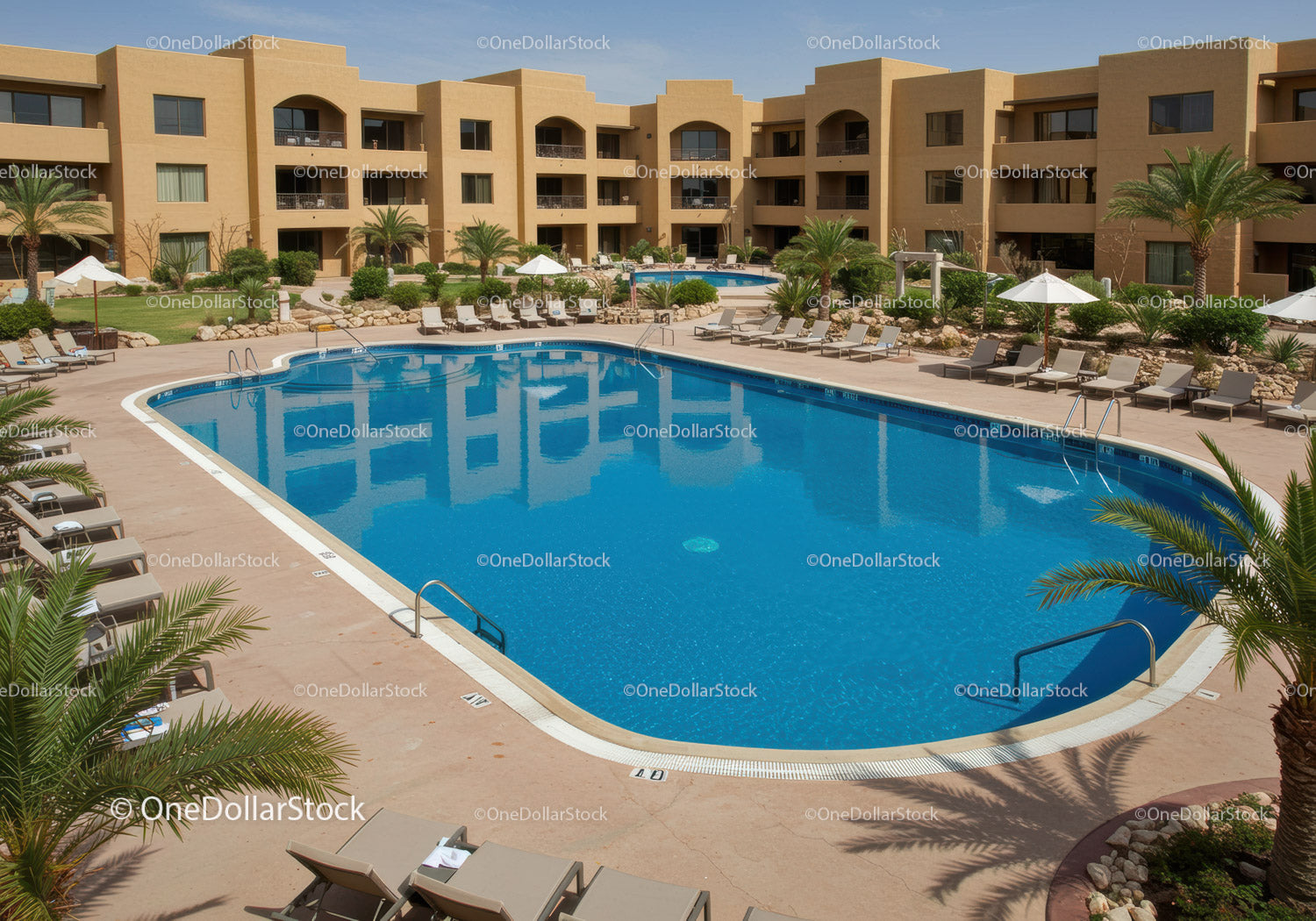 Scenic Resort Swimming Pool with Lounge Chairs and Palm Trees