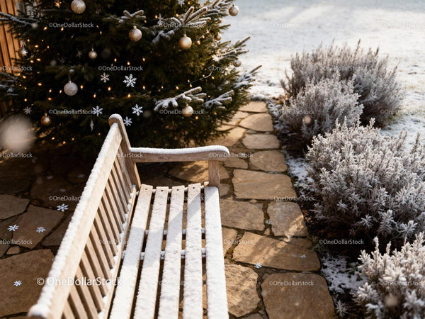 Snow-covered bench next to decorated Christmas tree outdoors