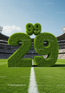 Green Grass Numbers Marking Temperature on Soccer Field