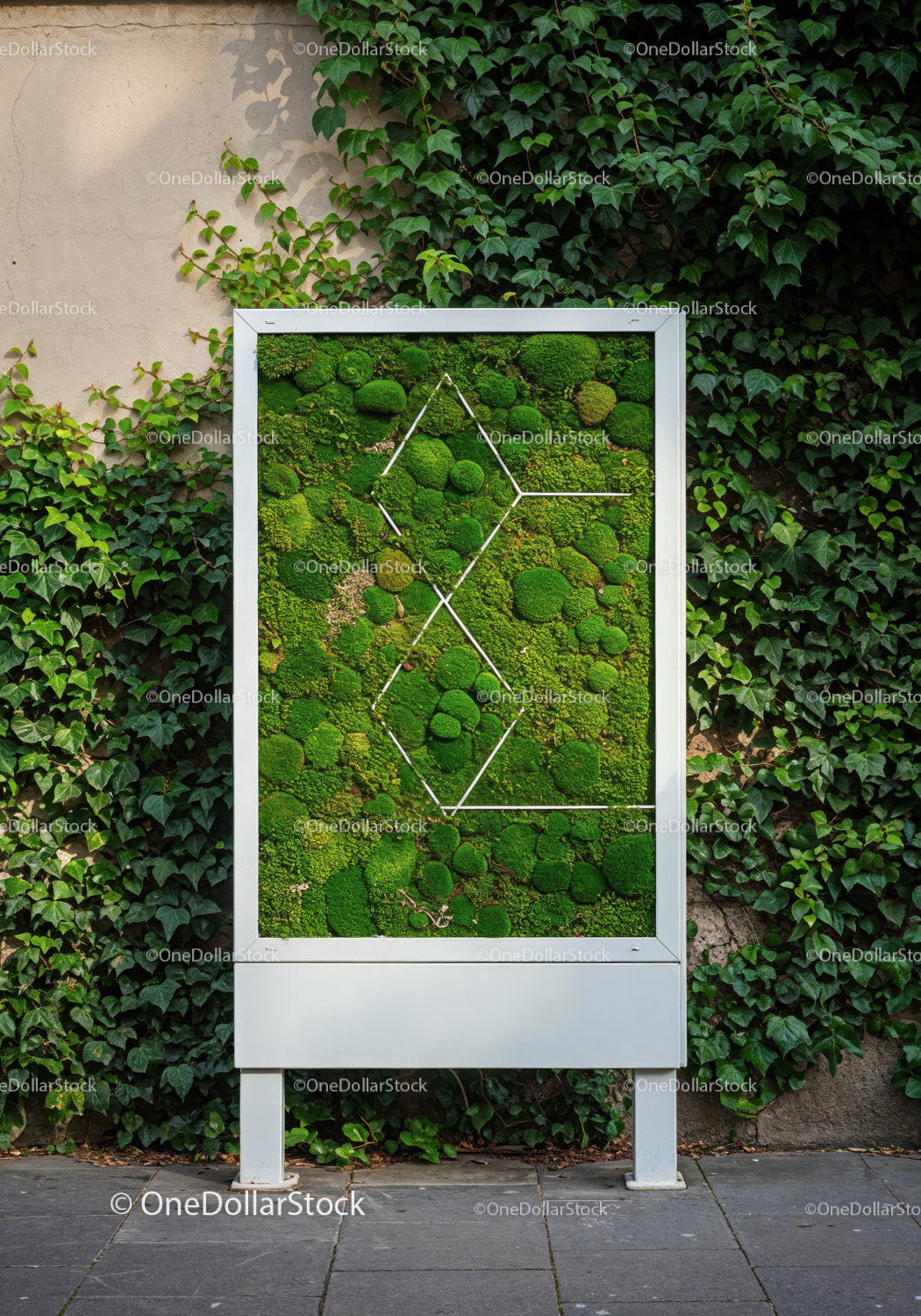 Green Moss Clock on Modern Urban Wall with Ivy Background