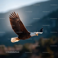 Majestic Bald Eagle in Flight Over Mountain Landscape