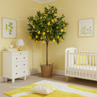 Lemon Tree in Stylish Modern Nursery with White Crib and Yellow Accents