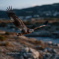 Majestic Eagle Soaring in Open Sky Over Scenic Landscape