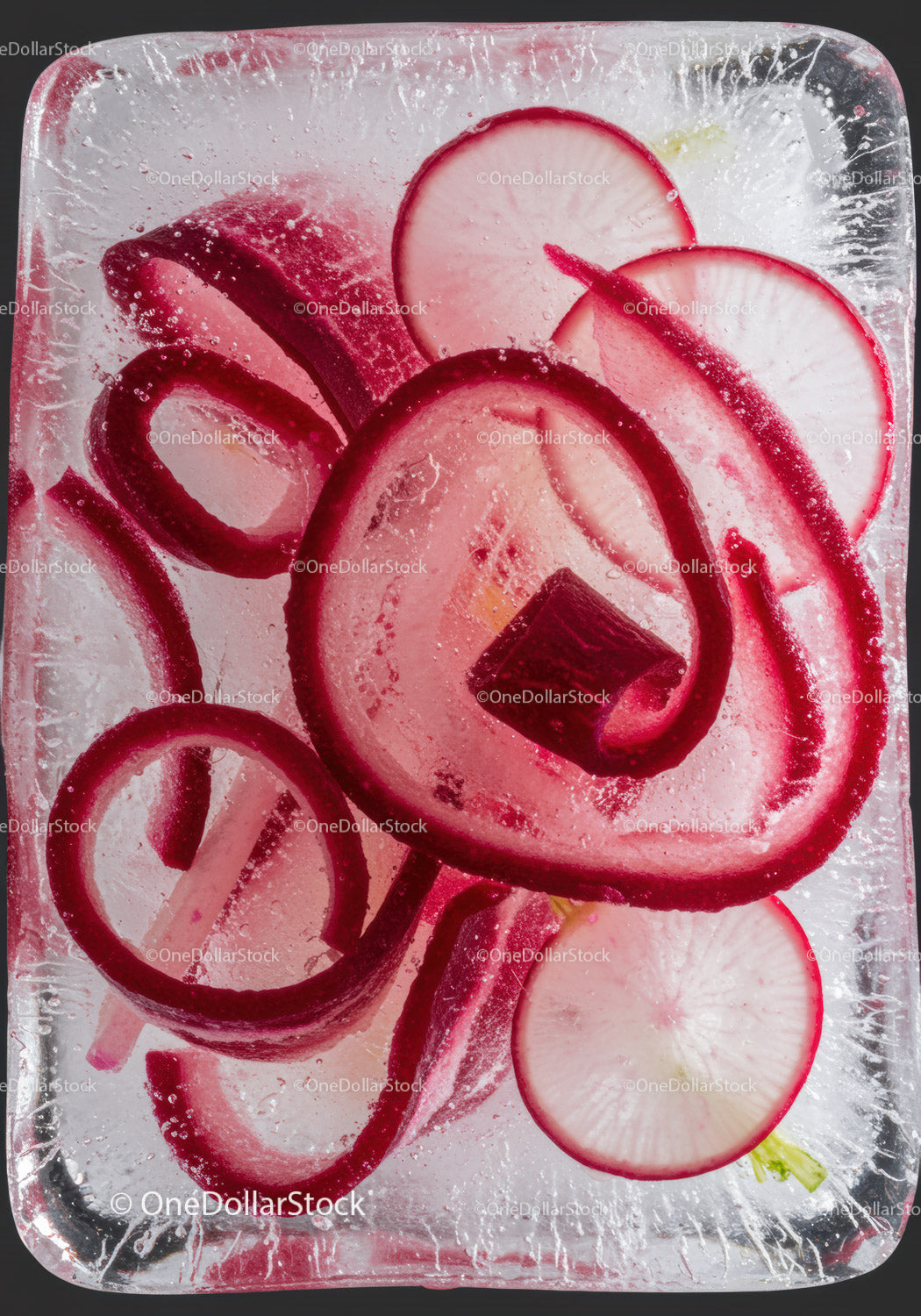 Red radish slices frozen inside a clear ice block