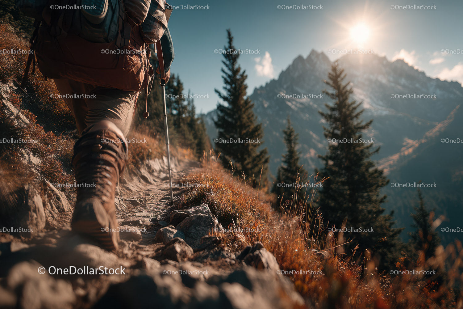 Mountain Hiker Trekking Through Rocky Trail in Scenic Wilderness