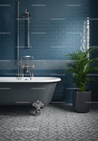 Elegant clawfoot bathtub with green plant in blue bathroom