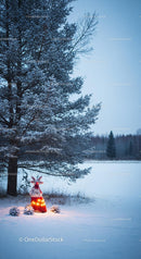 Winter pine tree with glowing Christmas decoration