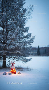 Winter pine tree with glowing Christmas decoration