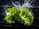 Fresh Green Lettuce Under Water Splash with Vibrant Colors