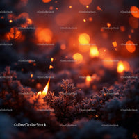 Close-up of Frosty Plants Illuminated by Glowing Flames