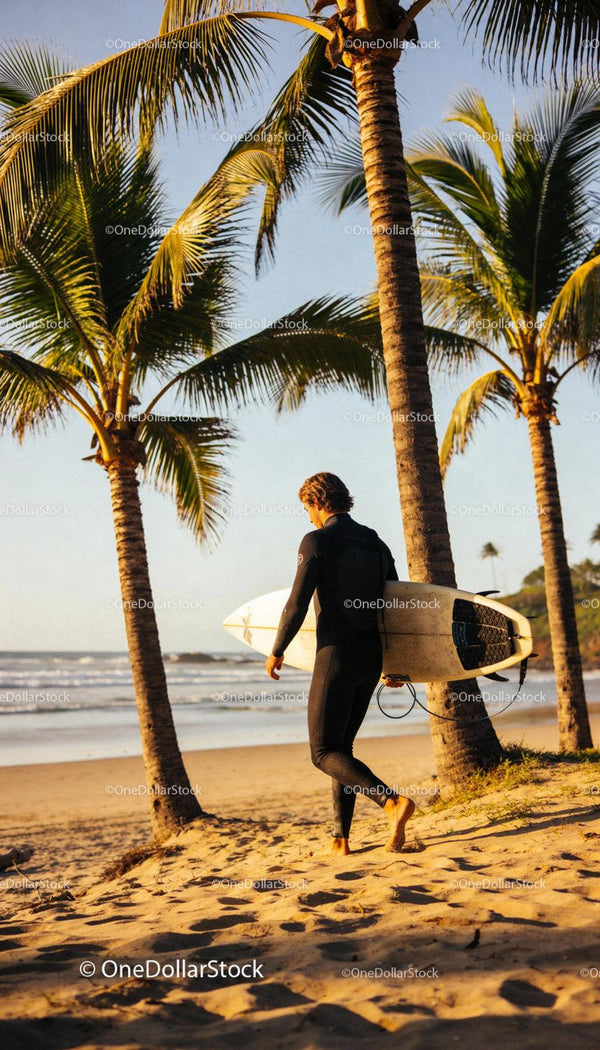 Surfer walking on tropical beach at sunset with surfboard
