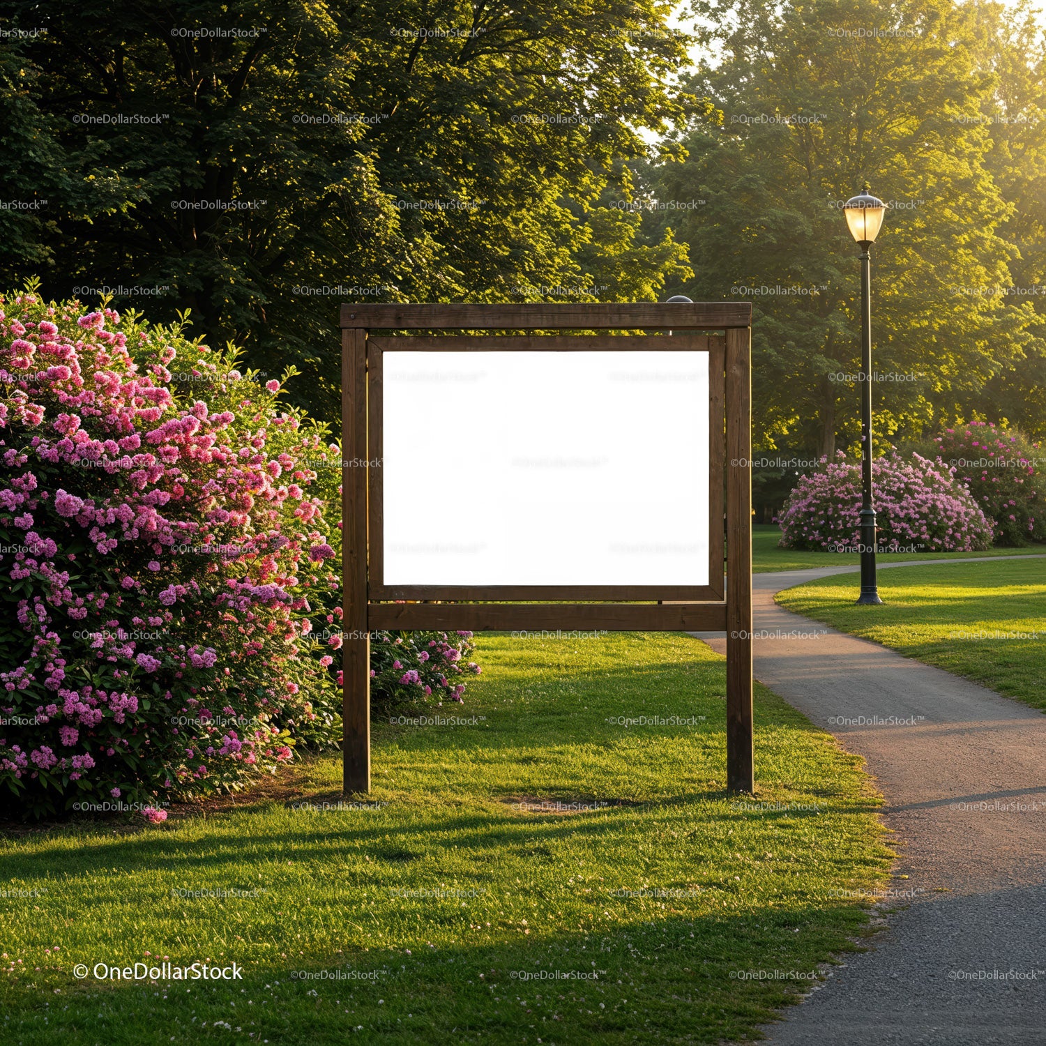 Empty wooden signboard in sunny park with blooming bushes