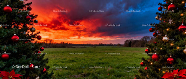 Festively Decorated Christmas Trees Amid Vibrant Sunset