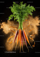 Fresh colorful carrots with green tops on black background