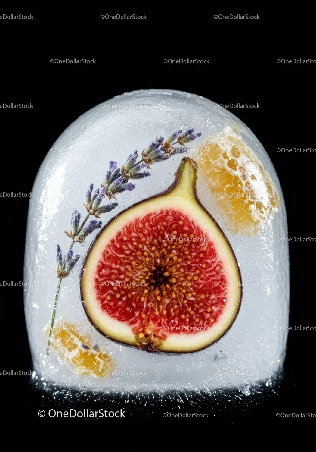 Fig and Lavender Encased in Ice with Honeycomb