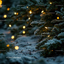 Frosted evergreen branches with warm Christmas lights