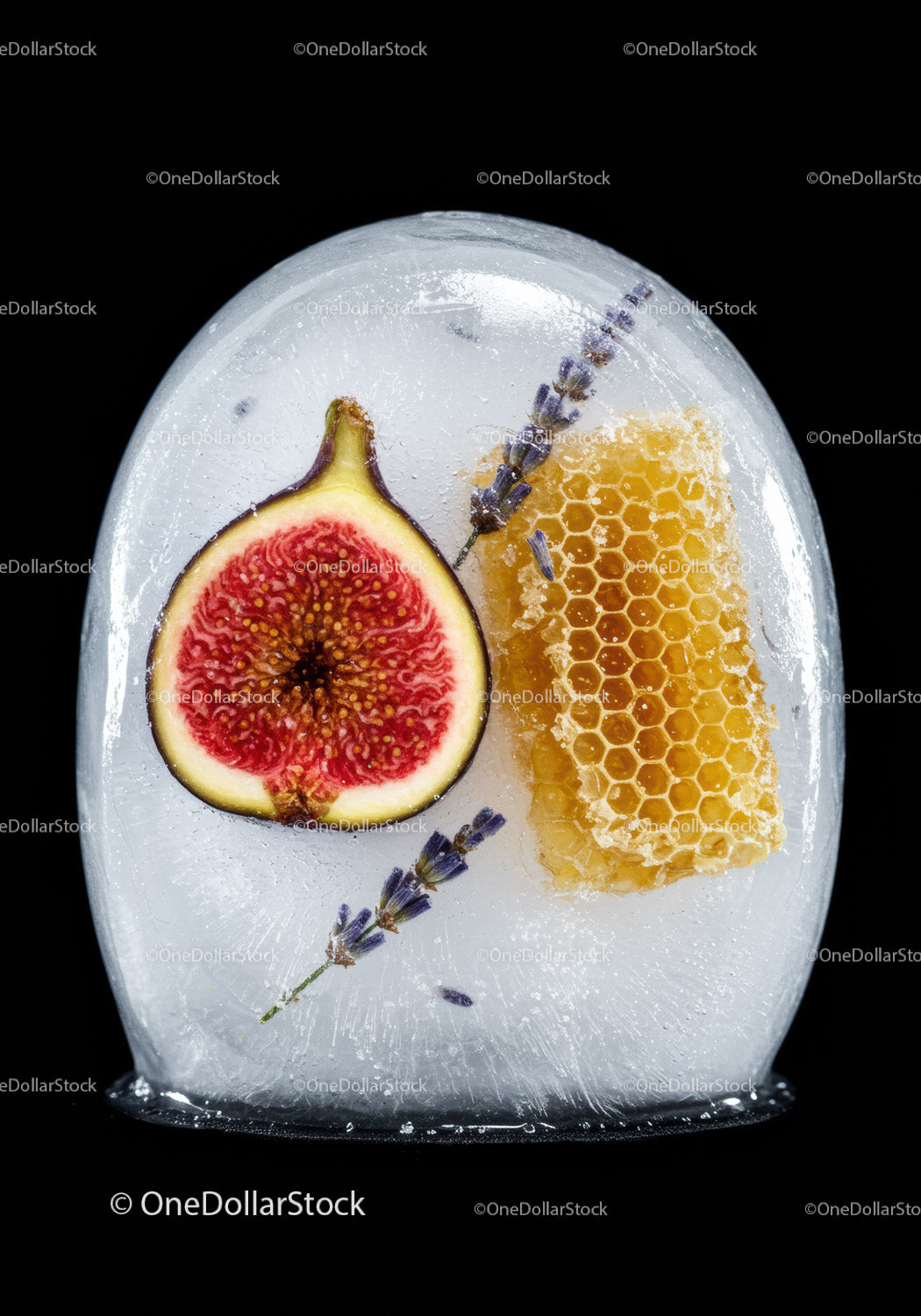 Frozen Fig, Honeycomb and Lavender Encased in Ice