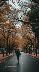 Autumn Tree Canopy Over City Street with Walking Pedestrian