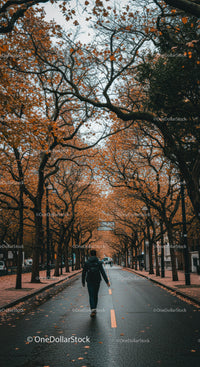 Autumn Tree Canopy Over City Street with Walking Pedestrian