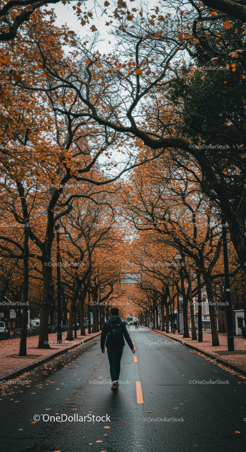 Autumn Tree Canopy Over City Street with Walking Pedestrian