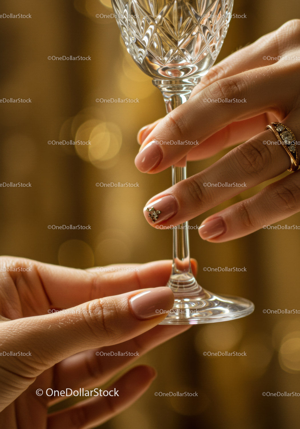 Elegant female hands holding crystal glass stem