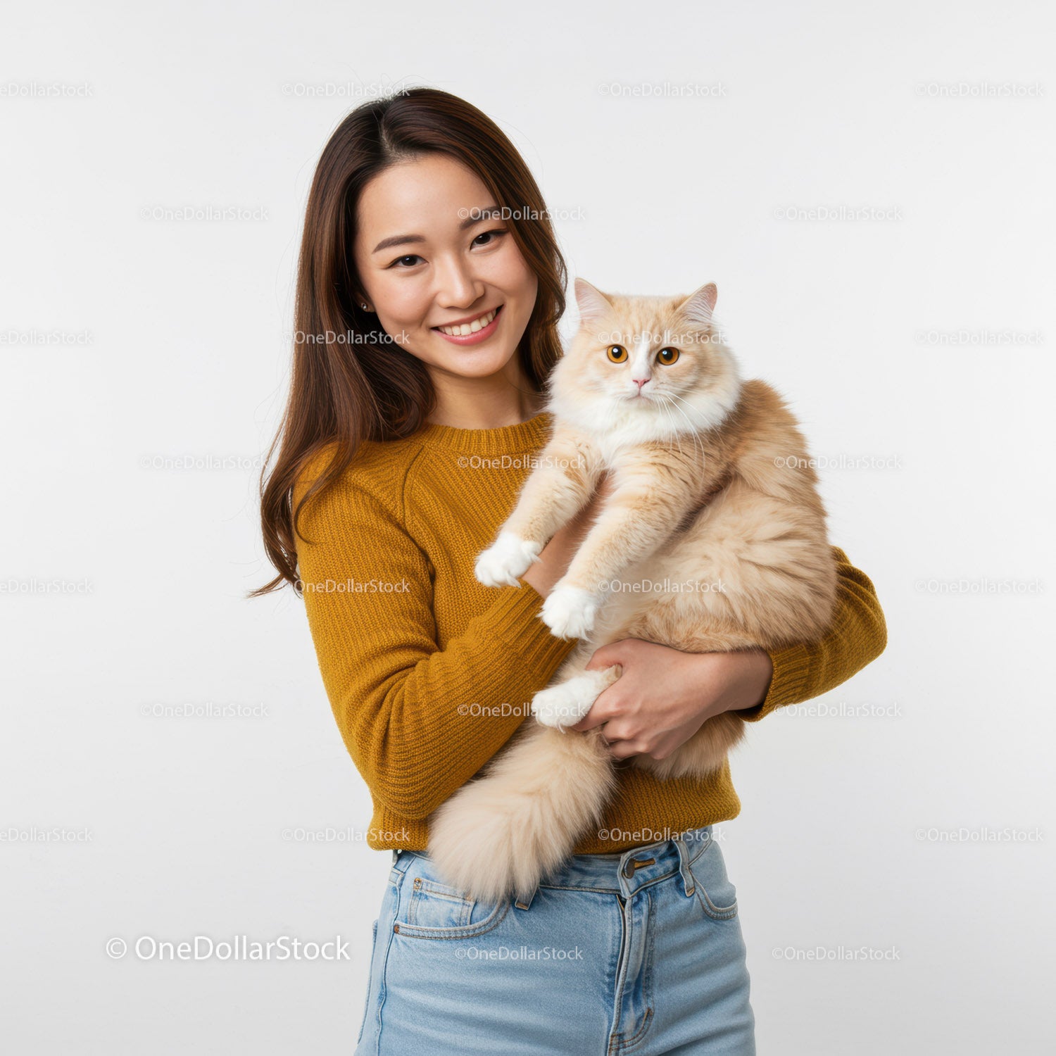 Young woman joyfully holding fluffy cream cat