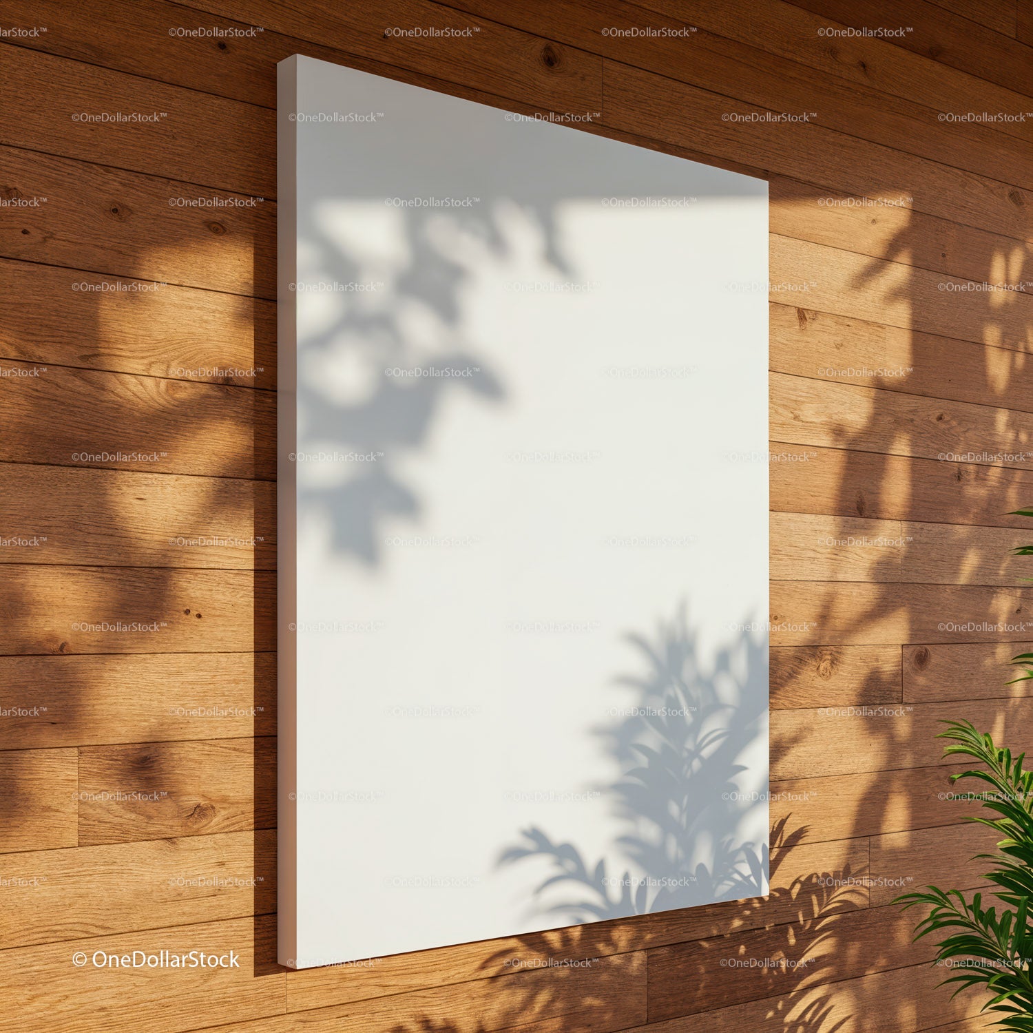 Blank white canvas on warm wooden wall with soft shadows