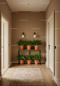 Modern Indoor Hallway Decor with Green Ferns and Terracotta Pots