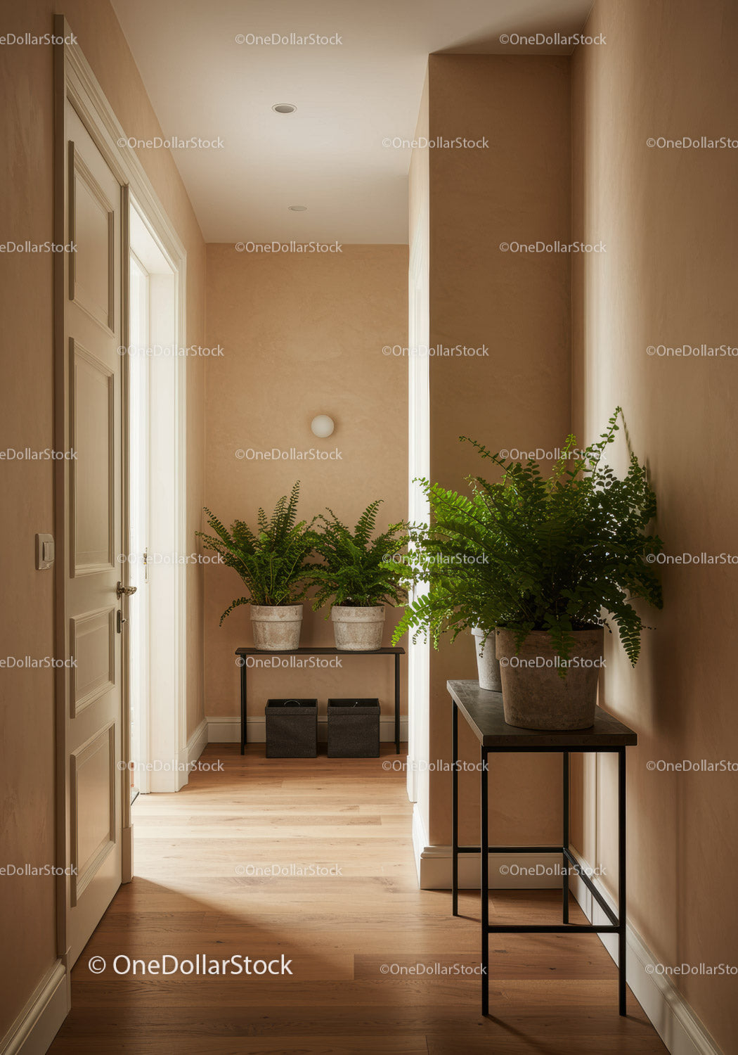 Bright Modern Interior with Green Ferns and Wooden Floor
