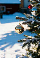 Golden Christmas ornament hanging on snowy pine branch