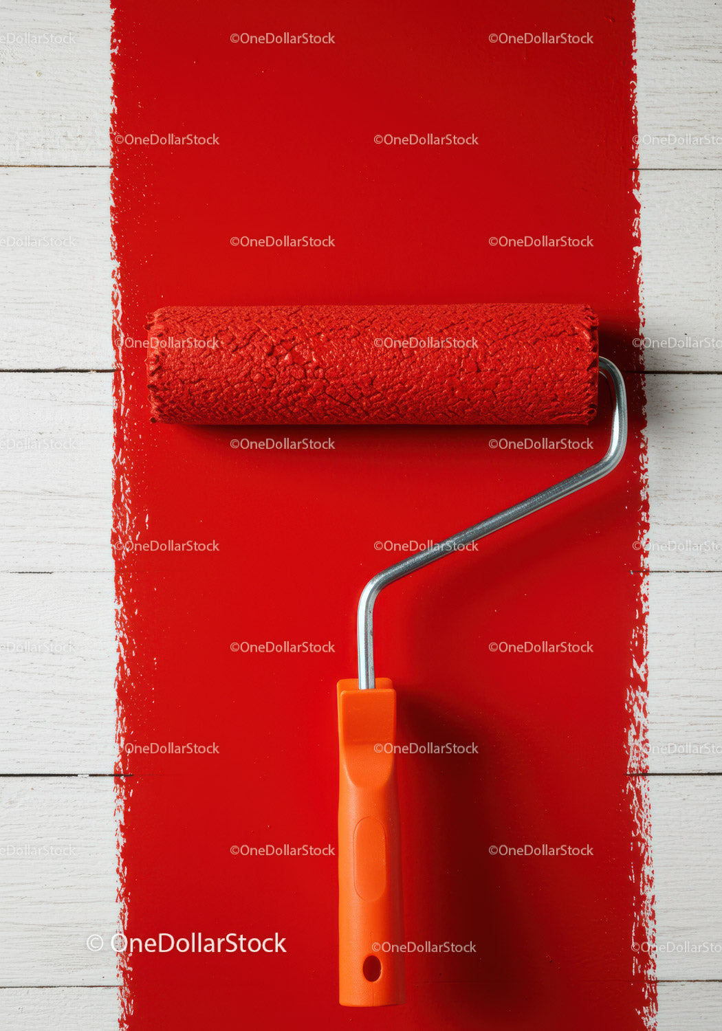 Red Wall Being Painted with Paint Roller for Home Renovation