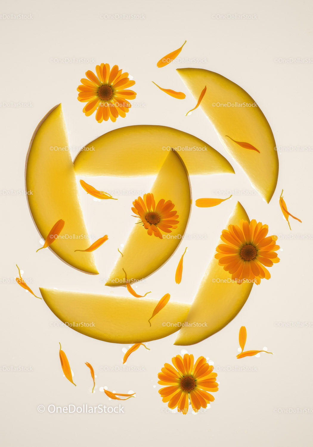 Fresh Melon Slices with Vibrant Orange Flowers Composition