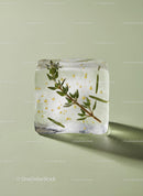 Herb-infused ice cube casting a delicate shadow