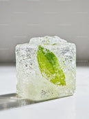 Fresh green mint leaf encased in transparent ice cube