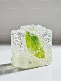 Fresh green mint leaf encased in transparent ice cube