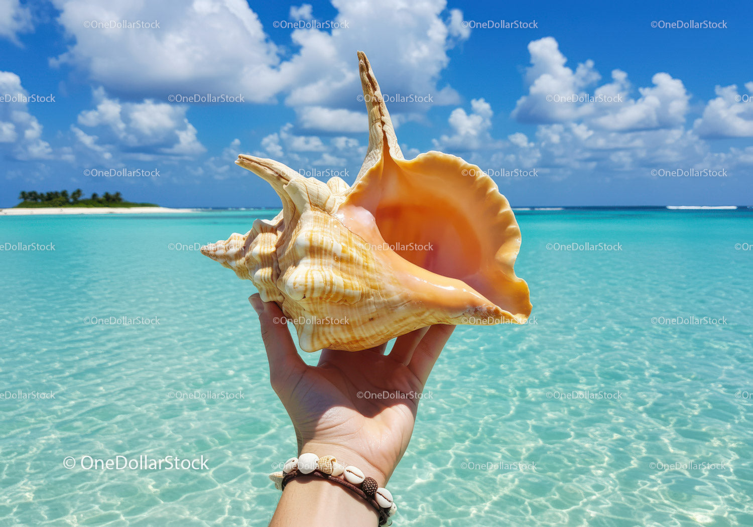 Beautiful Conch Shell on Turquoise Ocean Beach Scene