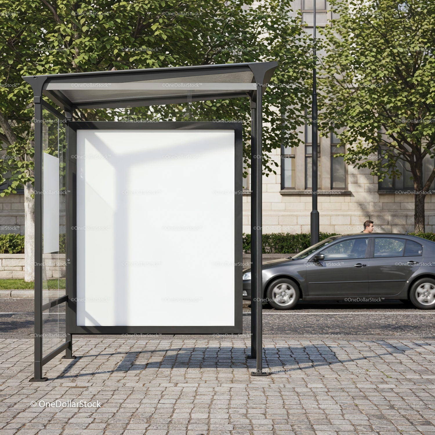 Empty bus stop advertisement board on city street