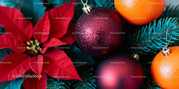 Festive poinsettia with Christmas ornaments and citrus